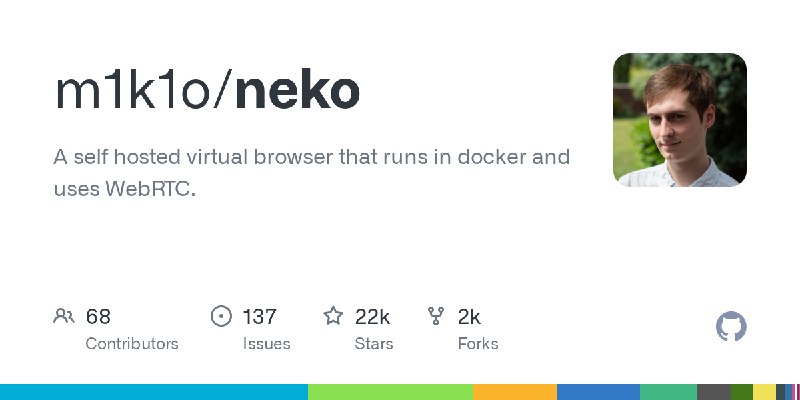 GitHub - m1k1o/neko: A self hosted virtual browser that runs in docker and uses WebRTC.