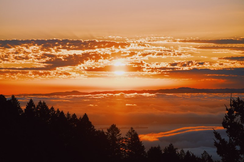 DPS 周刊 114 - 回家陪父母