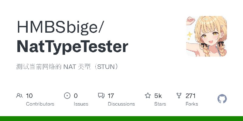 GitHub - HMBSbige/NatTypeTester: 测试当前网络的 NAT 类型（STUN）