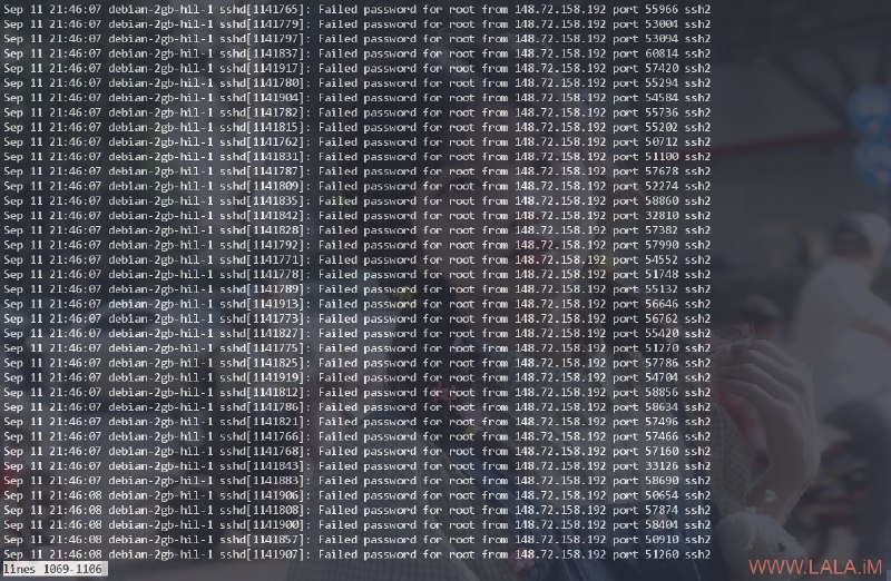 这是我见过的最牛逼的SSH暴力破解第一次见到SSH爆破把机子内存干爆了的