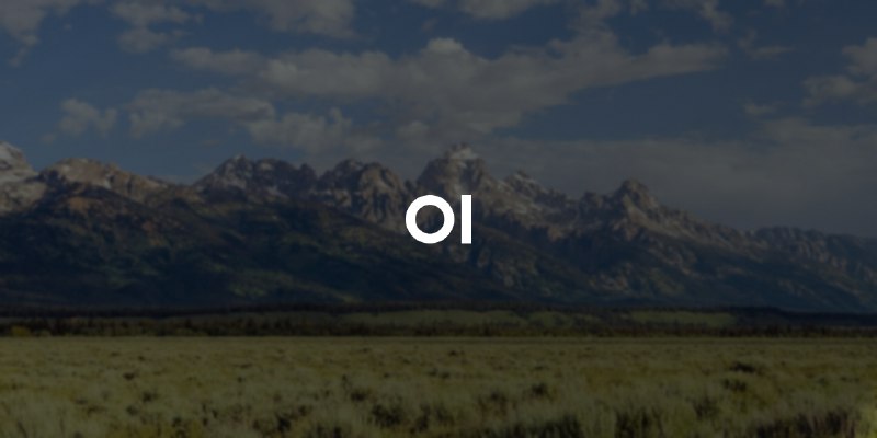 GitHub - open-webui/open-webui: User-friendly AI Interface (Supports Ollama, OpenAI API, ...)