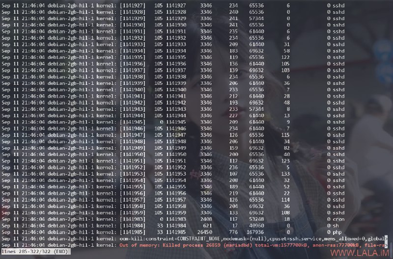 这是我见过的最牛逼的SSH暴力破解第一次见到SSH爆破把机子内存干爆了的