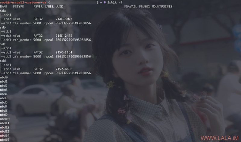 OVH Proxmox VE ZFS 重置ROOT密码我的一台闲置了很久的OVH独服ROOT密码忘记了= =，记录下重置ROOT密码的步骤，备忘以备不时之需