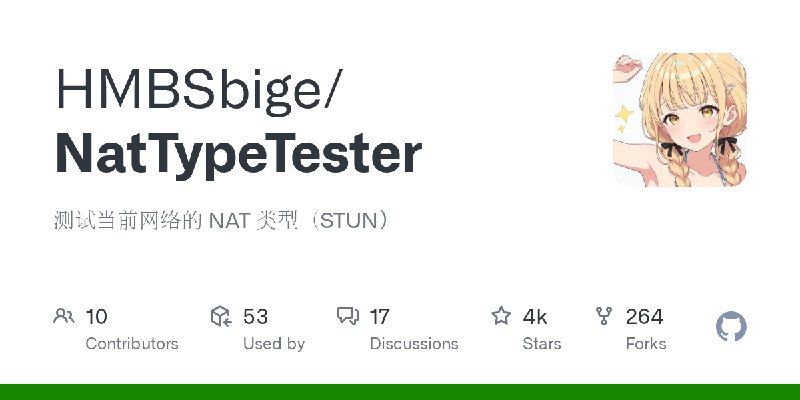 GitHub - HMBSbige/NatTypeTester: 测试当前网络的 NAT 类型（STUN）