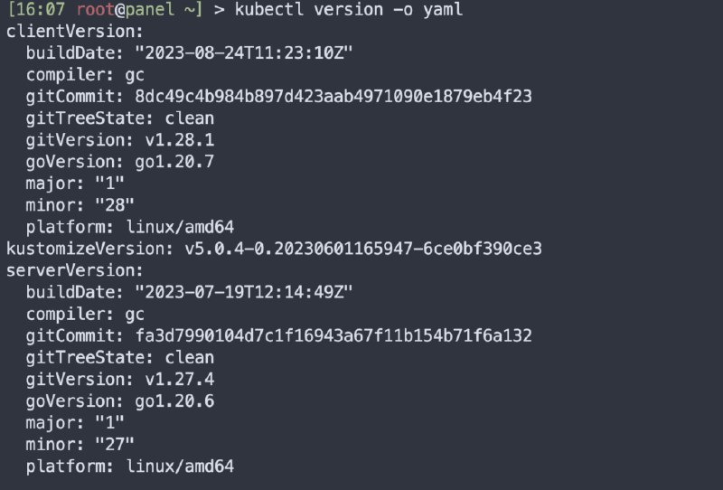 Debian 11 上使用 Minicube 部署 Kubernetes 集群 - 猫猫博客