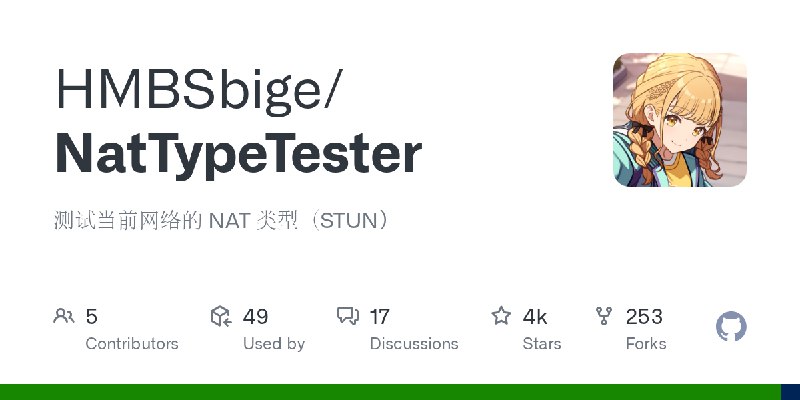 GitHub - HMBSbige/NatTypeTester: 测试当前网络的 NAT 类型（STUN）