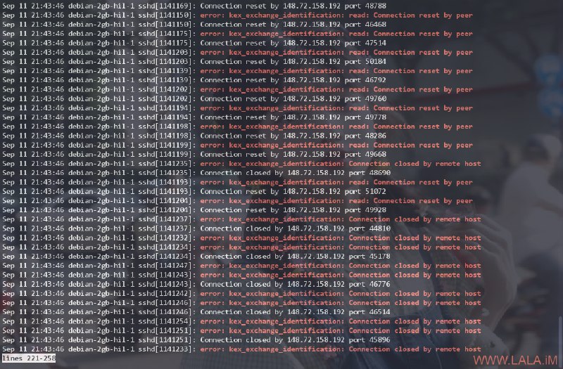 这是我见过的最牛逼的SSH暴力破解第一次见到SSH爆破把机子内存干爆了的