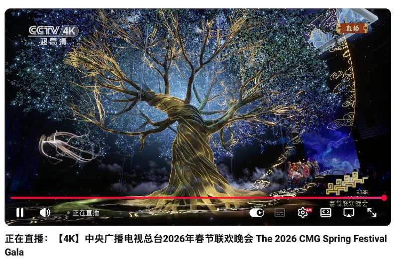 春晚YouTube直播，就说这种直播你能稳定4k不掉速，说明你的机器已经及格了，😂